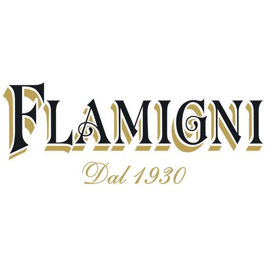 Flamigni Srl